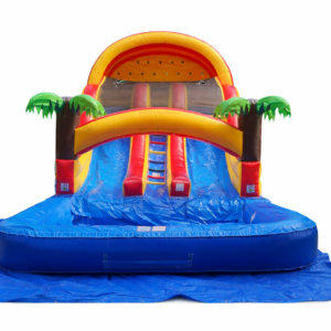 double waterslide